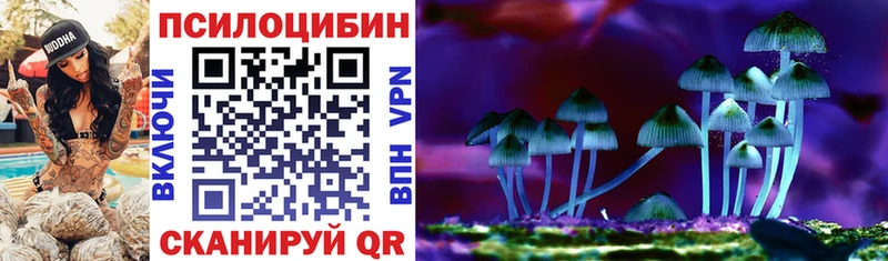 Купить закладки  Еманжелинск  Псилоцибиновые грибы GOLDEN TEACHER 